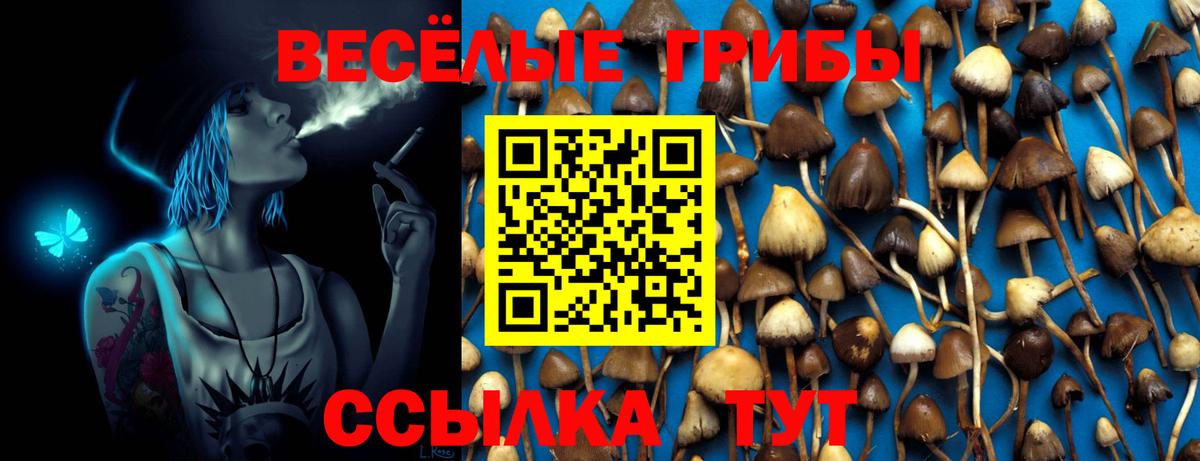 Карталы  Псилоцибиновые грибы ЛСД  Псилоцибиновые грибы Magic Shrooms  Вход с VPN 